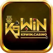 K9win icon